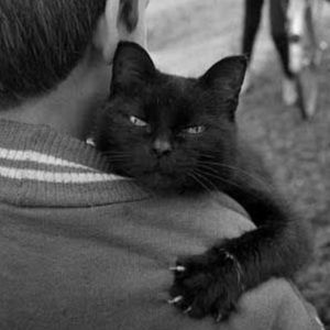 Meet your Posher, Gigi😺